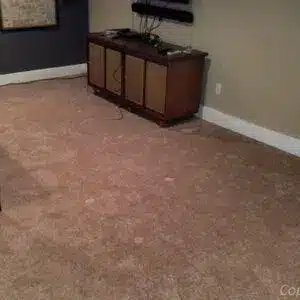 Carpet Repairs 3