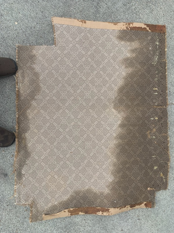 Urine Stains Removal Of Bad Carpet Greenwood